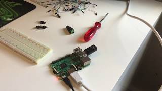 Raspberry Pi  LED Strip ansteuern Tutorial [upl. by Lamrouex625]