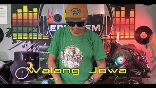 Forever Single  Walang Jowa  Budots Remix  Dj Ericnem [upl. by Enyamrahs]