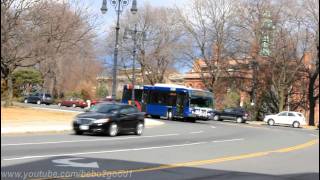 CDTA Albany Small bus action at State amp Eagle Streets [upl. by Auod430]