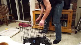 How to collapse and setup a dog crate [upl. by Shiekh]