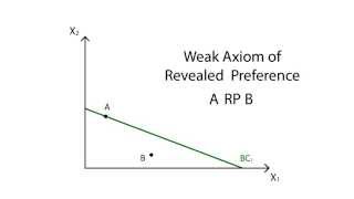 A14 Revealed preference  Consumption  Microeconomics [upl. by Nospmis]