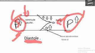 Hémodynamique cardiaque [upl. by Fiorenza]