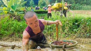 Dwarf Family Primitive Life Catch eels Finding Treasure Harvesting Chicken Eggs amp Bananas [upl. by Sirrad]