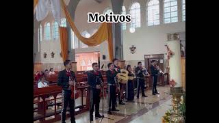 Motivos con Mariachi Sta Maria Magdalena [upl. by Norven]