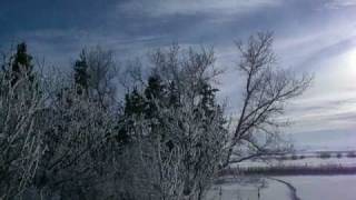 Hoar Frost  time lapse [upl. by Ayote]