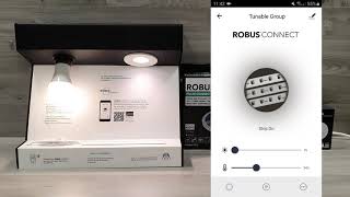 ROBUS CONNECT  How to Group Devices [upl. by Yerdua]