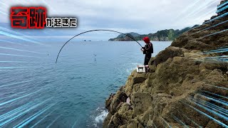 【ふかせ釣り】大会前にもう一回！直前に滑り込み釣行で西伊豆仁科に行ったら奇跡が連発！？ まりんのこいけ [upl. by Eralc]