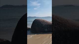 Actualizando el dólar en Canasvieiras desde la playa se Ponta Das Canas  Florianópolis SC  Brasil [upl. by Woermer]