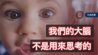 為什麼人類需要大腦？｜《關於大腦的七又二分之一堂課》｜文森說書 [upl. by Vinson]