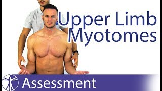 Myotomes Upper Limb  Peripheral Neurological Examination [upl. by Philipp]