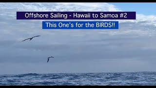 99 Sailing 37Days Offshore from Hawaii to Samoa Part 2 quotThis Ones For The Birdsquot [upl. by Nwahsyt]