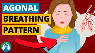 Agonal Breathing Medical Definition  Quick Explainer Video [upl. by Ennayelsel423]