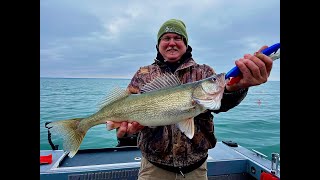 Lake Erie Walleye March Madness [upl. by Sothena]