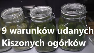 9 warunków idealnych ogórków Kiszonych [upl. by Friedman642]