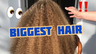 Biggest Hair Yet [upl. by Ahsha]