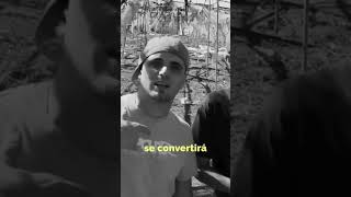 Magek y Dj Raudo  TABÚ hiphop rapcanario rap rapespañol [upl. by Deva]