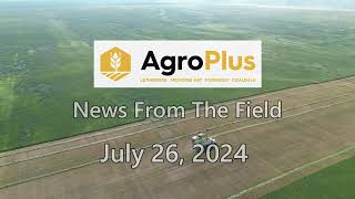 AgroPlus News from the field July 26 2024 [upl. by Berard]