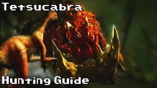 Hunting a Tetsucabra  Hunting Guide  Monster Hunter 4 Ultimate [upl. by Ardnassak]