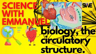 THE CIRCULATORY SYSTEM  GCSE IGCSE AND KCSE BIOLOGY  AQA EDEXCEL CIE OCR WJEC [upl. by Noid556]