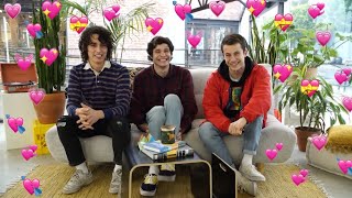 wallows being wallows for 2 minutes and 44 seconds straight [upl. by Ahsirhcal]