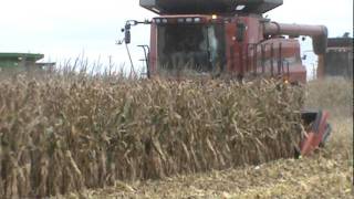 Geringhoff Folding Rota Disc at the Husker Harvest Days field demo [upl. by Ynnav632]