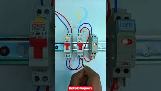 DPN RCBO residual current circuit breaker for residual current  overload amp short circuit protection [upl. by Drugge]