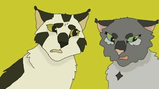 Dovewing and Bumblestripe…😬 [upl. by Wallace70]