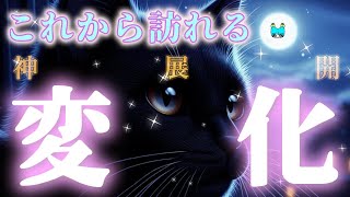 【ええ！の鬼展開ありあなたに訪れる変化🍀🥰】見たときがタイミング⌛️タロット＆るのるまん＆オラクルリーディング🦋💎 [upl. by Lleynad]