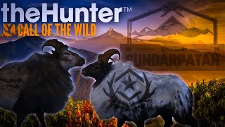 Tahr Grind  Lets search our fresh maps and get some Pc trophies  theHunter Call of the Wild [upl. by Attiuqram]