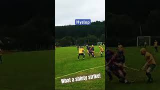 shinty camanachd what a goal glengarry strathstrong strathglass matt jones 🎥 [upl. by Nunciata446]