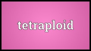 Tetraploid Meaning [upl. by Caren]