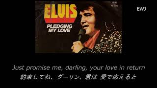 歌詞対訳 Pledging My Love  Elvis Presley 1976 [upl. by Foulk]