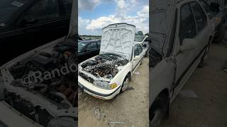 Junkyard Find  ‘93 Accord CB9 Wagon  Part 1 shorts [upl. by Stuckey]