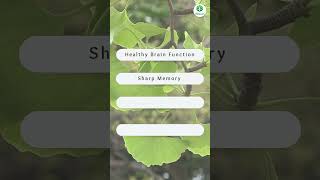 Achieve your mental health and overall brain wellness with VitaWIN ginkgobiloba brainwellness [upl. by Sulokcin]