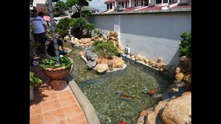 Jernih KOLAM dengan ECO SAND SYSTEM Ecosand Kolam Pond [upl. by Zug]