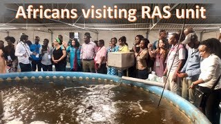 Africans visiting Recirculating Aquaculture System [upl. by Anhaj]