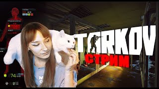 ТАРКОВ СТРИМ PVP  39 LVL 🔴👉Читаю 99 чата тарков escapefromtarkov [upl. by Nisotawulo]