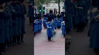 Changing of the guard  Changing of the guard Buckingham palace  changing the guard  London  2023 [upl. by Fu]