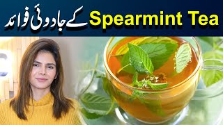 Magical Benefits of Spearmint Tea  Ayesha Nasir [upl. by Rosalee]