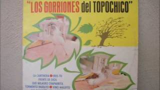 Los Gorriones del Topochico Tormento ingrato [upl. by Burbank]