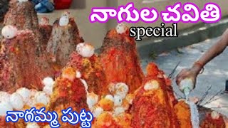 Nagula Chavithi  Nagula Chavithi Special  Nagamma putta । Magatapalli [upl. by Esemaj]