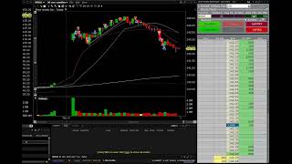 460 NVDA MU AMD Day Trading Swing Trading Shorting daytrading SHORTS [upl. by Telford]