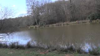 STREAM VALLEY LAKES CROWBOROUGH EAST SUSSEX [upl. by Aliuqat]