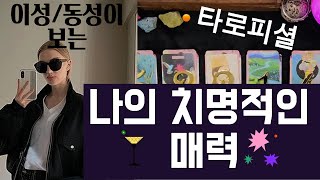 타로🥳이성동성이 보는 나의 치명적인 매력타로피셜🍒🍹 [upl. by Vidda]