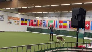 Lusy Imbergerova amp Rysa VICE EUROPEAN CHAMPION HTM 2024  OEC 2024 Austria [upl. by Ayital979]