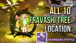 Fravashi Tree Genshin All Location Just in 12 Minutes Genshin Impact Guide [upl. by Nemracledairam]