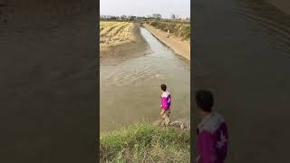 OMG Big Fishing Catfish Net fishing a lot of fishing trap fishing movie Nets fishing [upl. by Adim]