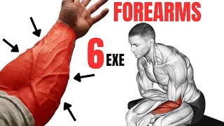 6 BEST FOREARMS EXERCISES AT GYM amp HOME  Extensor  Flexor  Brachioradialis [upl. by Hillman]