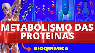 METABOLISMO DE PROTEÍNAS ENSINO SUPERIOR  BIOQUÍMICA [upl. by Noelle]