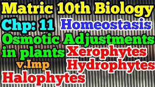 Osmotic adjustments in plants  Hydrophytes  Xerophytes  Halophytes Skin  10th Biology ch 11 [upl. by Ailee215]